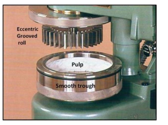 (PDF) Effect of Pulping, Bleaching and Refining Process on Fibers for ...