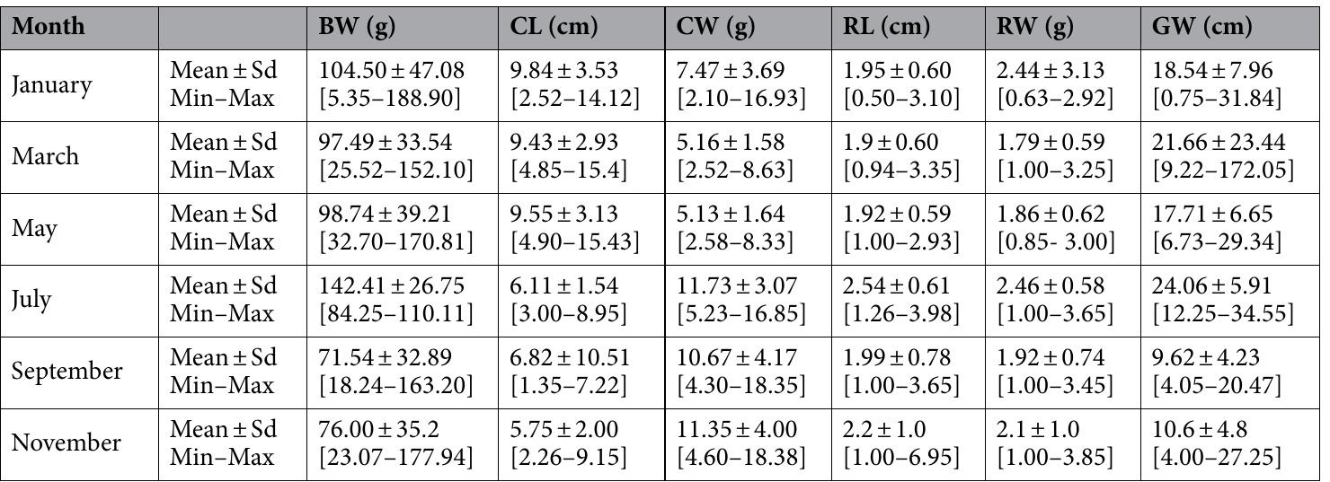 Table 2. Distribution of average, minimum and maximum morphometric characters of Callinectes amnicola.  Illustrated in Table 3 is the monthly distribution of the average, minimum, and maximum meristic counts of Callinectes amnicola from the Makoko axis of Lagos Lagoon. Four (4) meristic characters, as defined in Table 1, were evaluated. The highest mean (RDCTU) of 6.50+ 1.25 was obtained in March. The maximum (9.50) and 