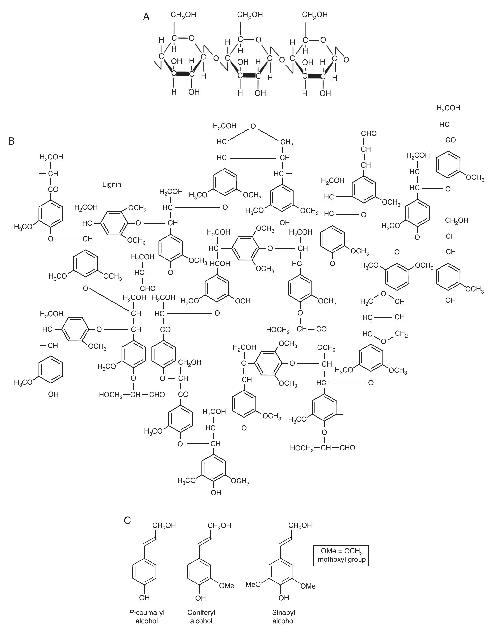 Figure 2 - from Extraction and characterization of lignin