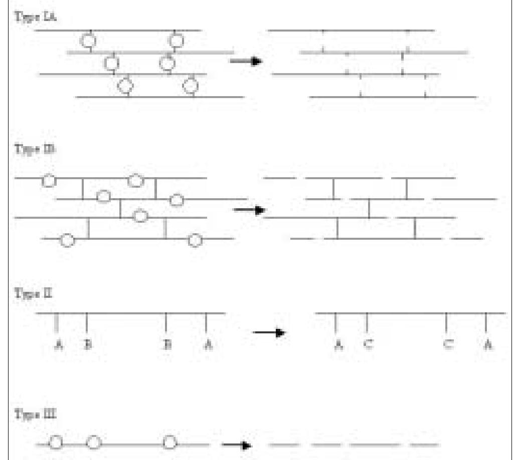 Figure 1 - from Biodegradable polymers: Which, when and why?