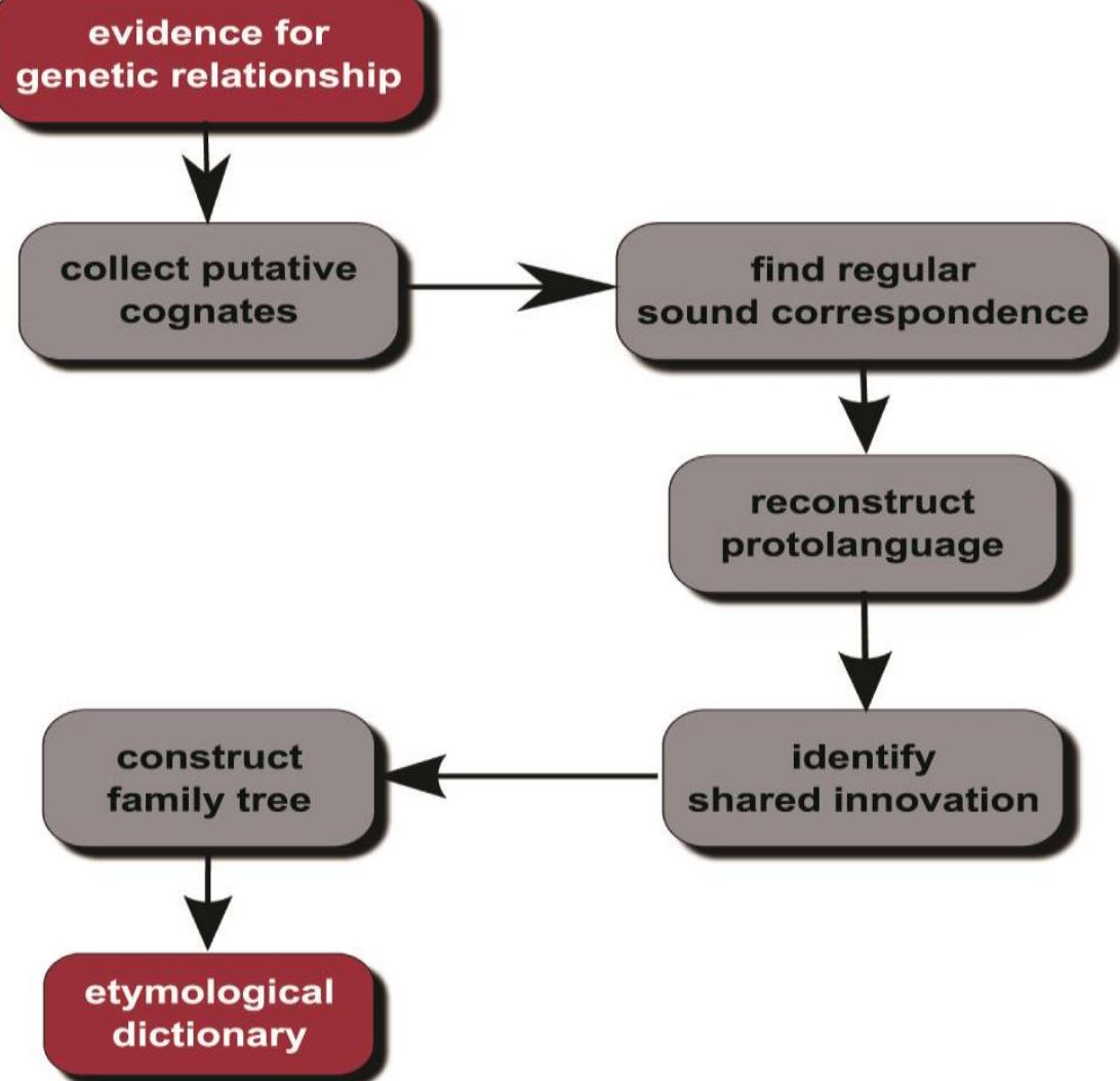 Genetic Language (PDF) Genetic Relationship among Languages: An Overview