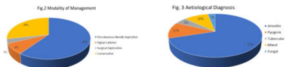 (PDF) Clinical Presentation and Management Protocols in Cases of Liver ...