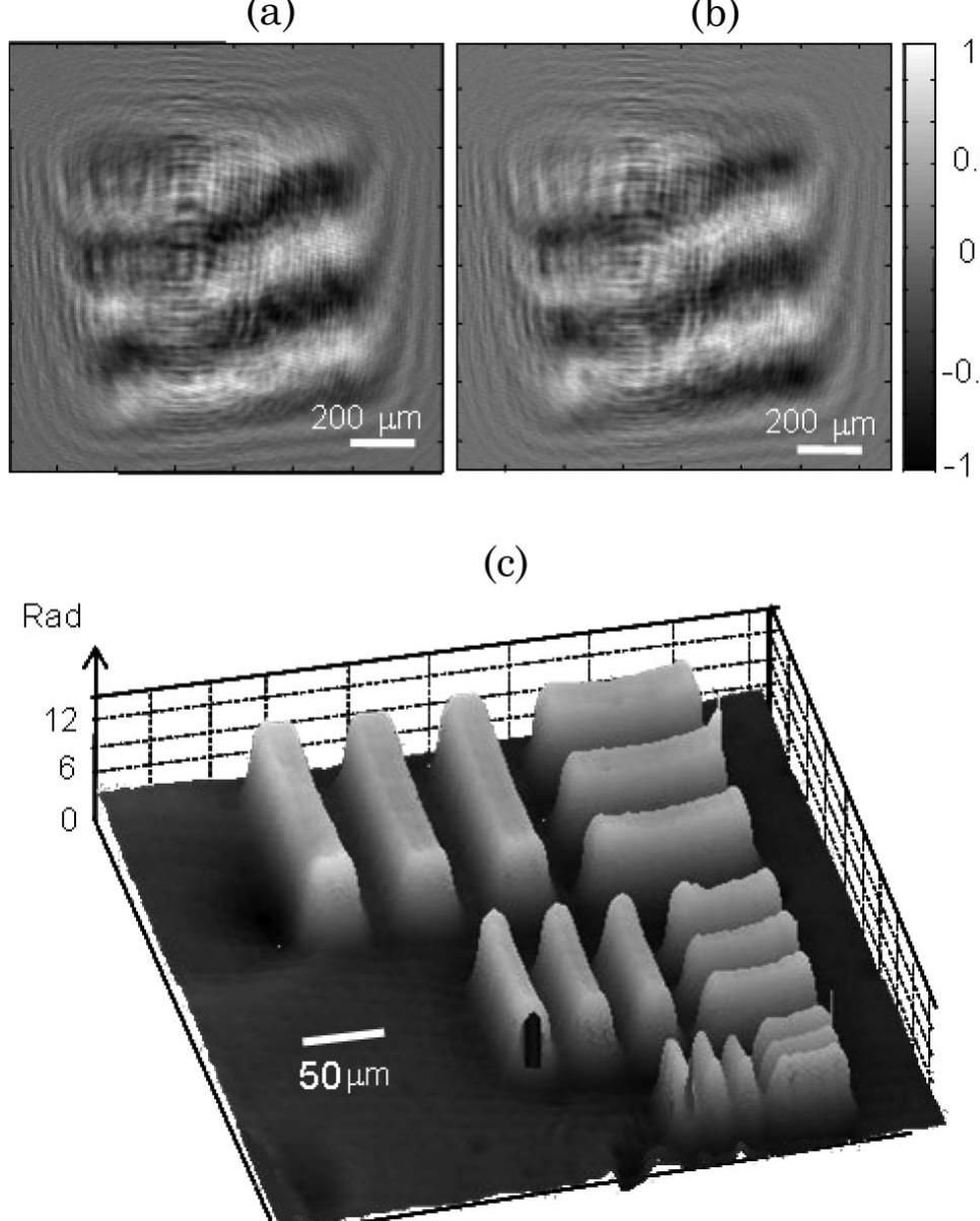 (PDF) Phase shifting digital holography implemented with a twisted ...