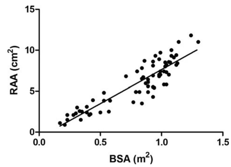 (PDF) Echocardiographic Evaluation of the Right Atrial Area Index in ...