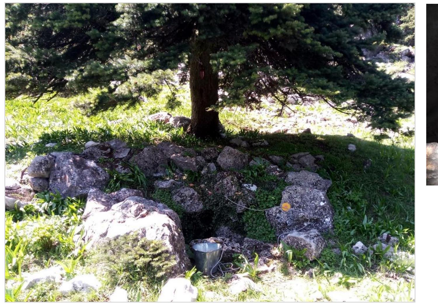 be seen and sensed today and have the same classic triad: spring, tree, rock [image above]. This triad has mythological, icon- ographic ideal-typical, and even archetypi- cal significance [9]. 