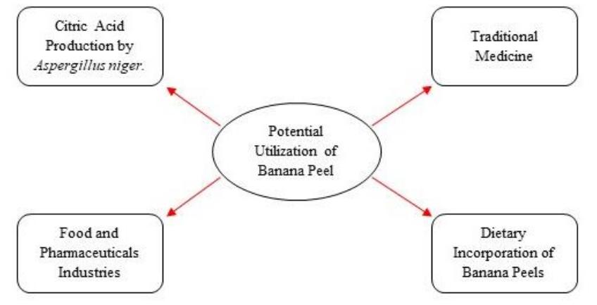 (PDF) Nutritional Content and Bioactive Compounds of Banana Peel and ...
