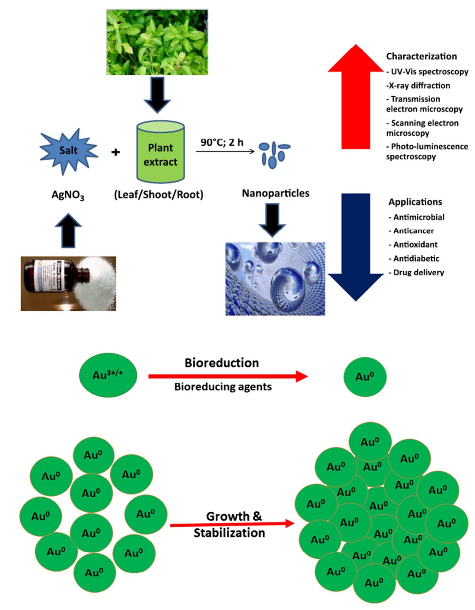 (PDF) Green synthesis of nanoparticles using plant extracts: a review