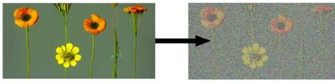 As gaussian noise is introduced to the image, clusters