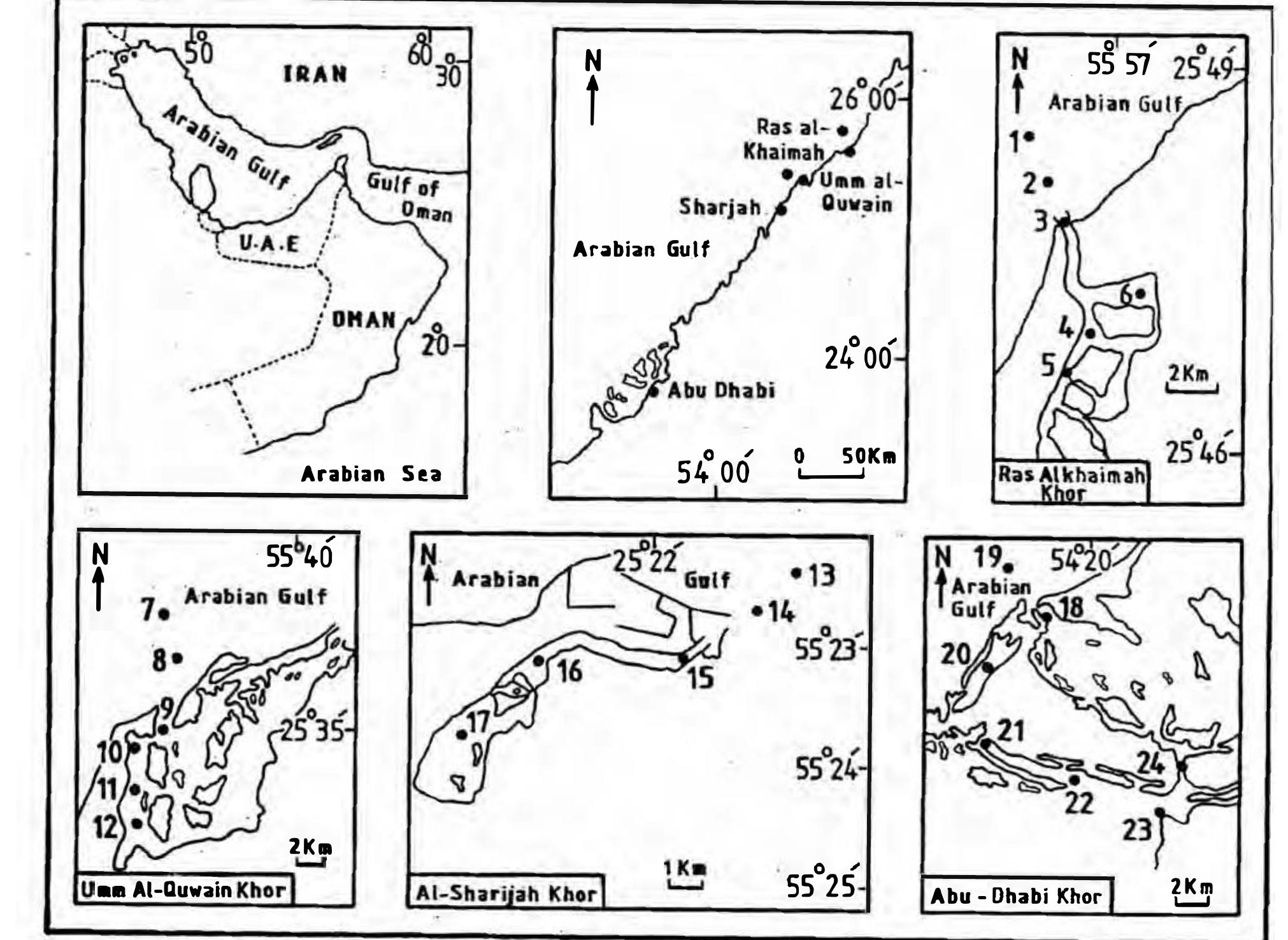 (PDF) Environmental characteristics of the United Arab Emirates waters ...