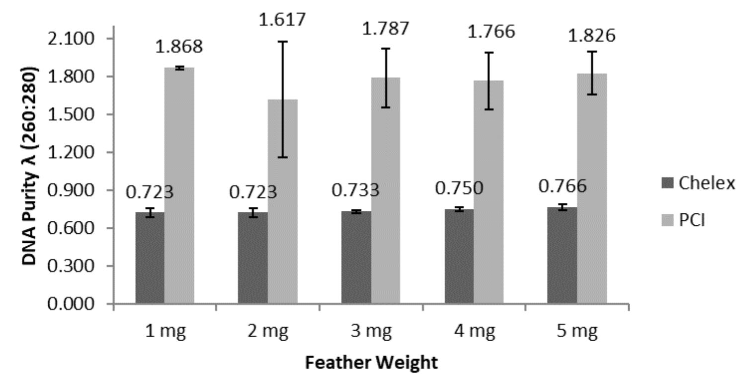 (PDF) Isolation of DNA from chicken (Gallus gallus domesticus Linnaeus ...