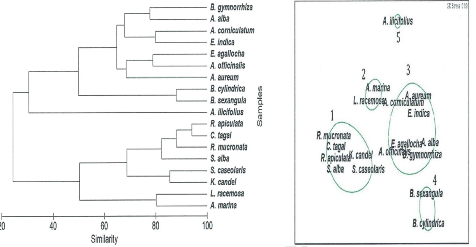 (PDF) Diversity, stand structure, and zonation pattern of mangroves in ...