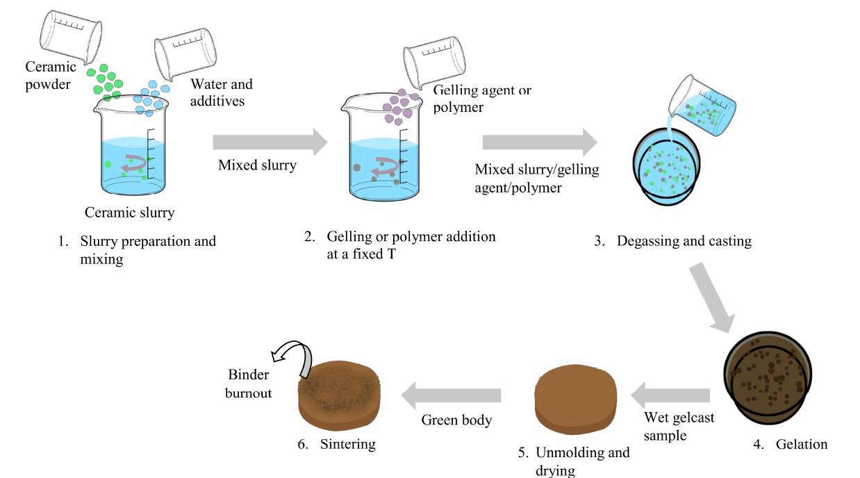 (PDF) A Review of the Development of the Gel Casting Method for Porous ...