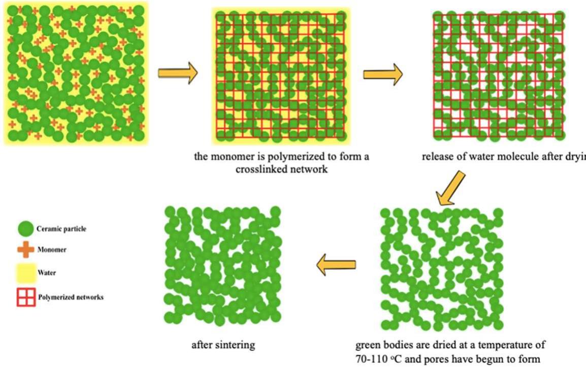 (PDF) A Review of the Development of the Gel Casting Method for Porous ...