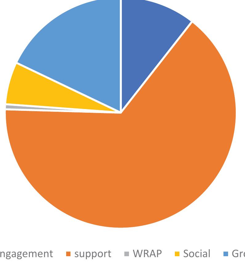 Pie chart to show percentage breakdown of peer support
