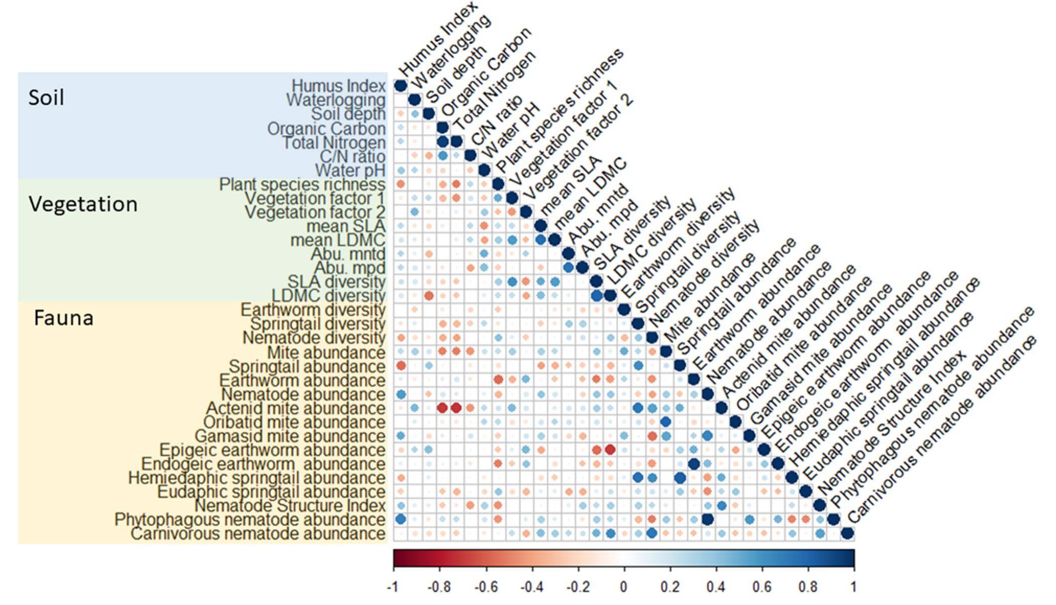 genetic distance, referred to as phylogenetic diversity in the results, abbreviated as PhylDiv in Table 1. Smaller p values are depicted with larger circles. Abundances were log-transformed before analysis. Details can be found in Supplement S3 Fig.2 Pearson’s correlations between soil parameters, vegeta- tion parameters, and soil fauna parameters. Vegetation factors were obtained using PCA analysis. Abu.mntd = abundance-weighted mean nearest taxon distance. Abu.mpd=Abundance-weighted mean phylo- Plant community composition was summarized using Principal Component Analysis, extracting the two main factors for each site. To calculate phylogenetic diversity, we obtained phylogenetic distances (in millions of years) among the species from the higher plant phylogeny data- base Daphne (Durka and Michalski 2012). Some plants were identified only to genus level, but were then replaced by a species taken randomly from the same genus, because there was always only one member of that genus present at a given site. We calculated phylogenetic diversity using the Picante package in R (Kembel et al. 2010; R Core Team 2021) as the average across phylogenetic distances within all pairs of species (Webb 2000). We accounted for the abundance of species using “MPD-abundance” which quantifies abun- dance-weighted mean phylogenetic distances between pairs of individuals (Abu.mpd; Kembel et al. 2010). To control for variation in species richness, we compared these mean distances to those from a null model produced by reshuf- fling species across communities. We calculated standard- ized effect size (SES) values as (observed minus mean- null)/(SD-null), and used SES values in further analyses.