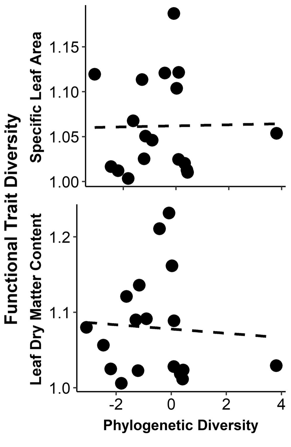 Fig.3 Relationships between diversity of plant functional traits (Y-axis) and plant phylogenetic diversity (X-axis) in permanent meadows in Brittany, France. Regression specific leaf area: t=0.610, p=0.551, N=18, R?=0.022, Regression leaf dry matter content: t=0.596, p=0.560, N= 18, R?=0.022, excluding one outlier with extreme phylogenetic diversity Phylogenetic diversity of plant communities was not significantly related to diversity in plant functional traits (Fig. 3). While phylogenetically uniform plant