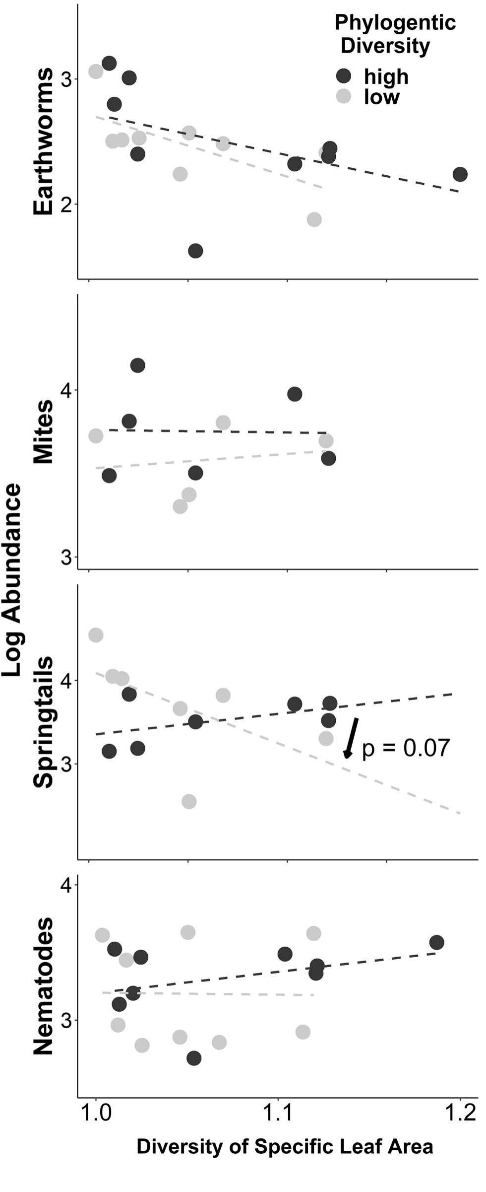 Fig.4 Relationships between the abundance of major groups of soil fauna (Y-axis) and the diversity of specific leaf area (X-axis) for plant communities with below and above-median phylogenetic diversity (</>— 0.8), illustrating interactions terms listed in Table 1b. The interaction term between diversities is significant in springtails, as indicated by the arrow and p-value in the figure