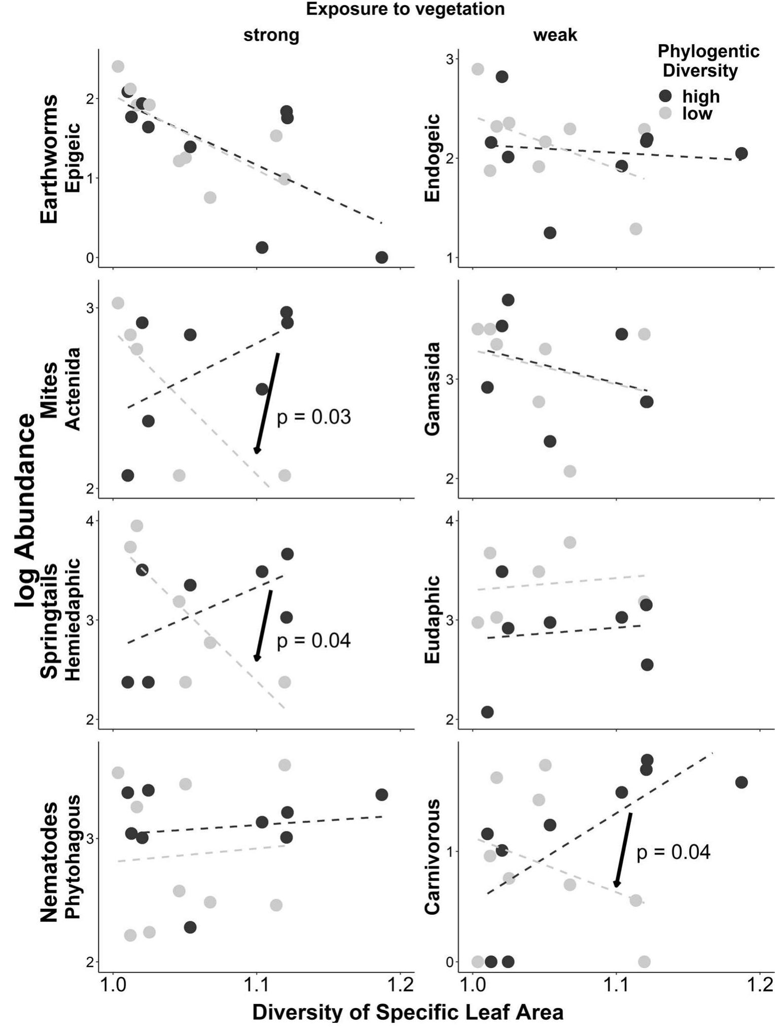 novel hypotheses on the consequences of phylogenetic labil- ity of a functional trait for how the local diversity of this plant trait within a community drives associated biota. Overall, we found that plant phylogenetic diversity and the diversity of functional traits combined have major power of explaining abundances of several soil fauna groups and of diversity of soil fauna. In most cases, significant effects were detected for those groups that we considered to be par- ticularly exposed to the plants: living close to the plants, or feeding directly on the plants. Importantly, one form of diversity not just complements the other—the interaction terms between phylogenetic and functional trait diversity are