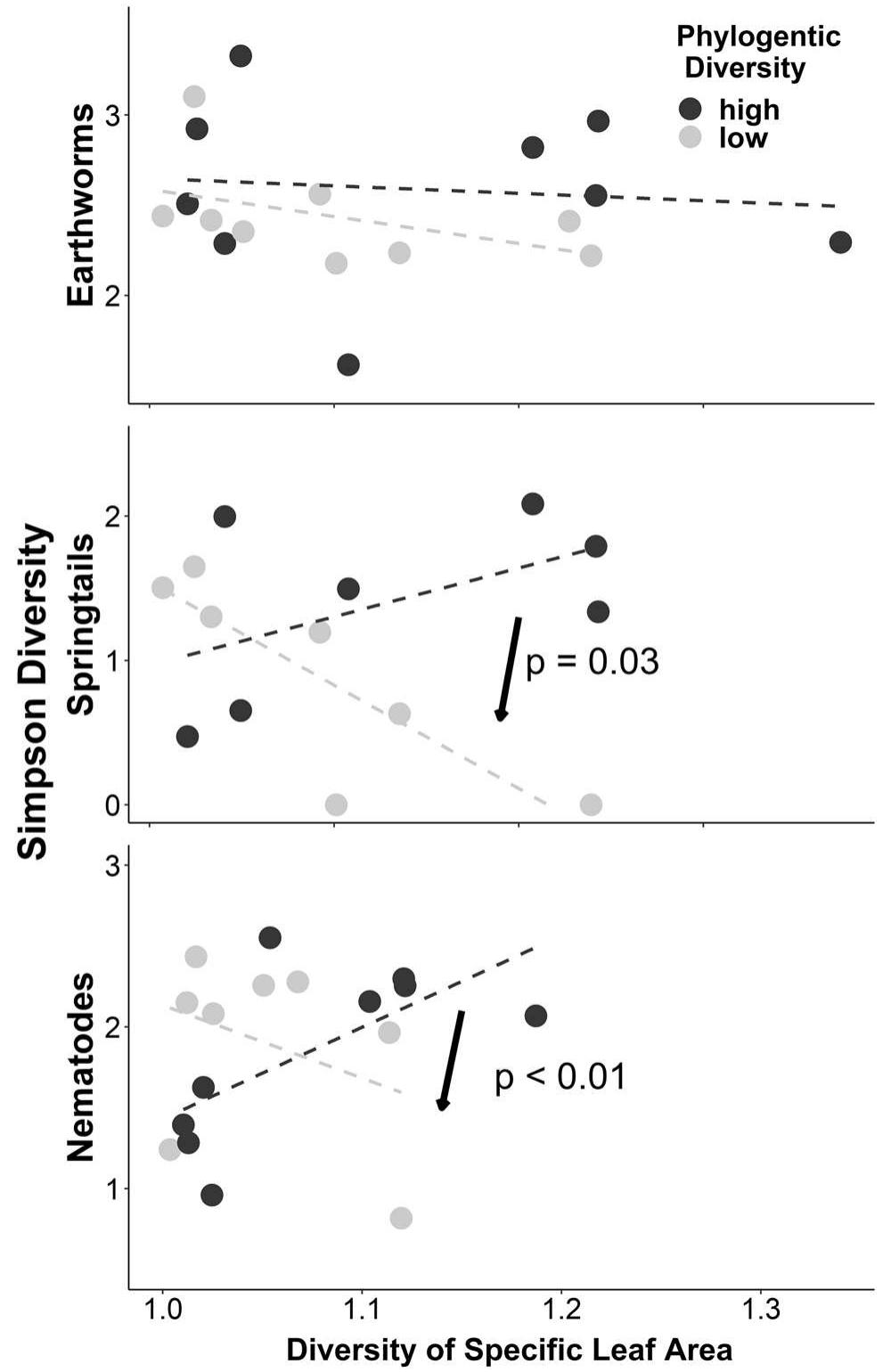 Fig.6 Relationships between the diversity of soil fauna (Y-axis) and the diversity of specific leaf area (X-axis) for plant communities with below and above-median phylogenetic diversity, illustrating interac- tion terms listed in Table 1g. Significant interaction terms are indi- cated by arrows and p-values in the figure