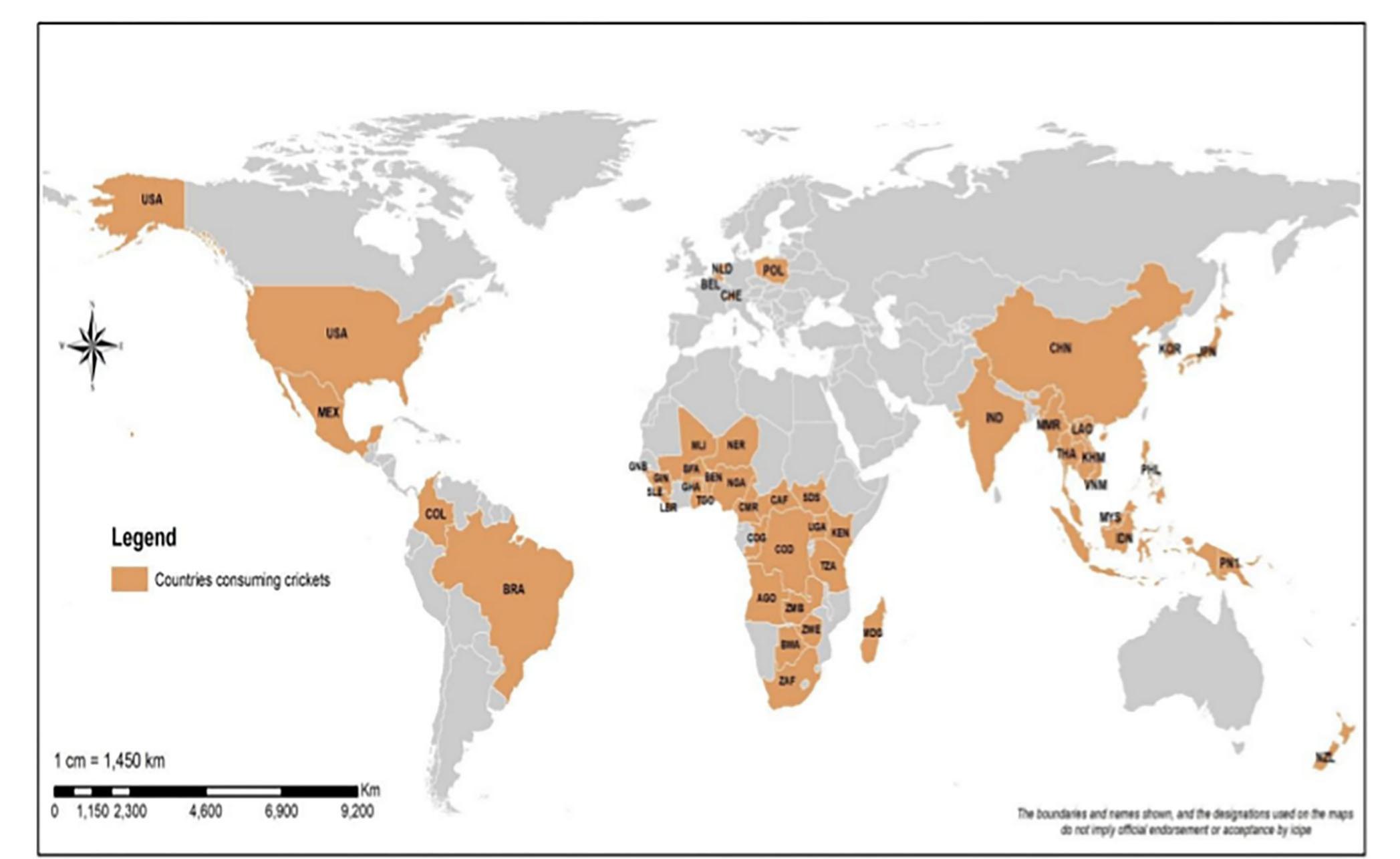 Figure 1 - from Edible Crickets (Orthoptera) Around the