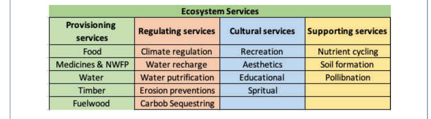The ecosystem services from forest are classified into four
