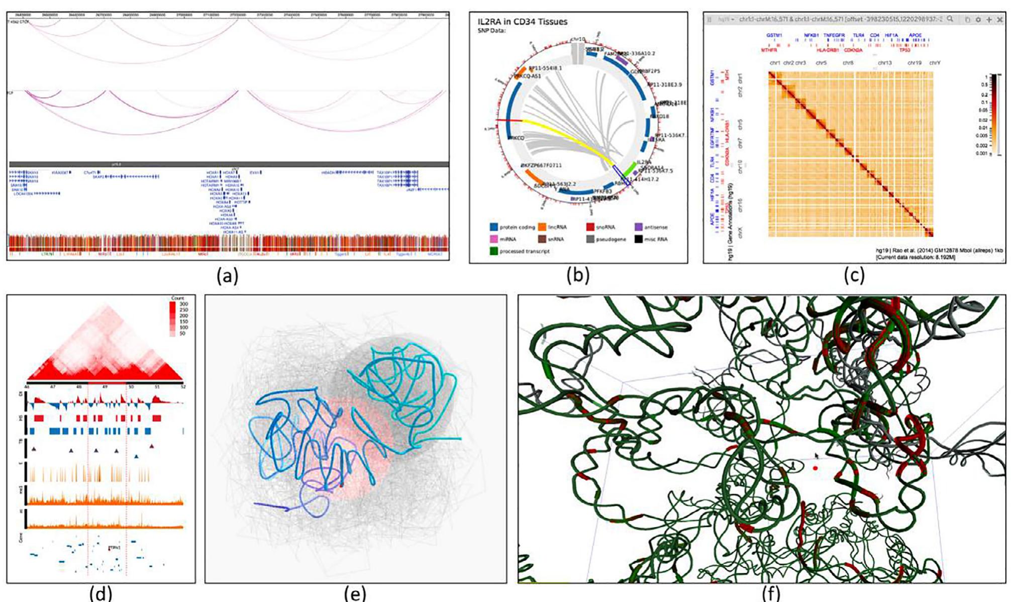 (PDF) Storage, visualization, and navigation of 3D genomics data