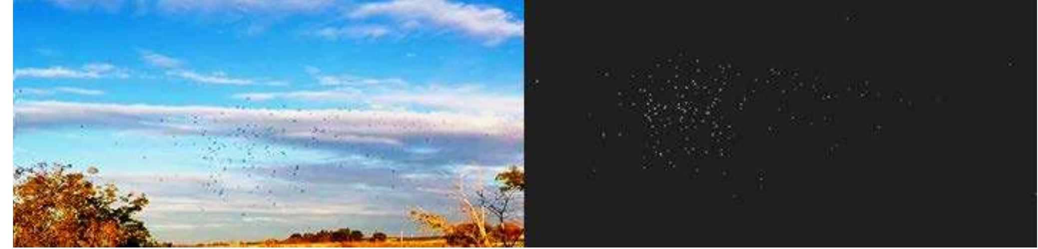 (PDF) Detection and localization of birds for Bird Deterrence using UAS