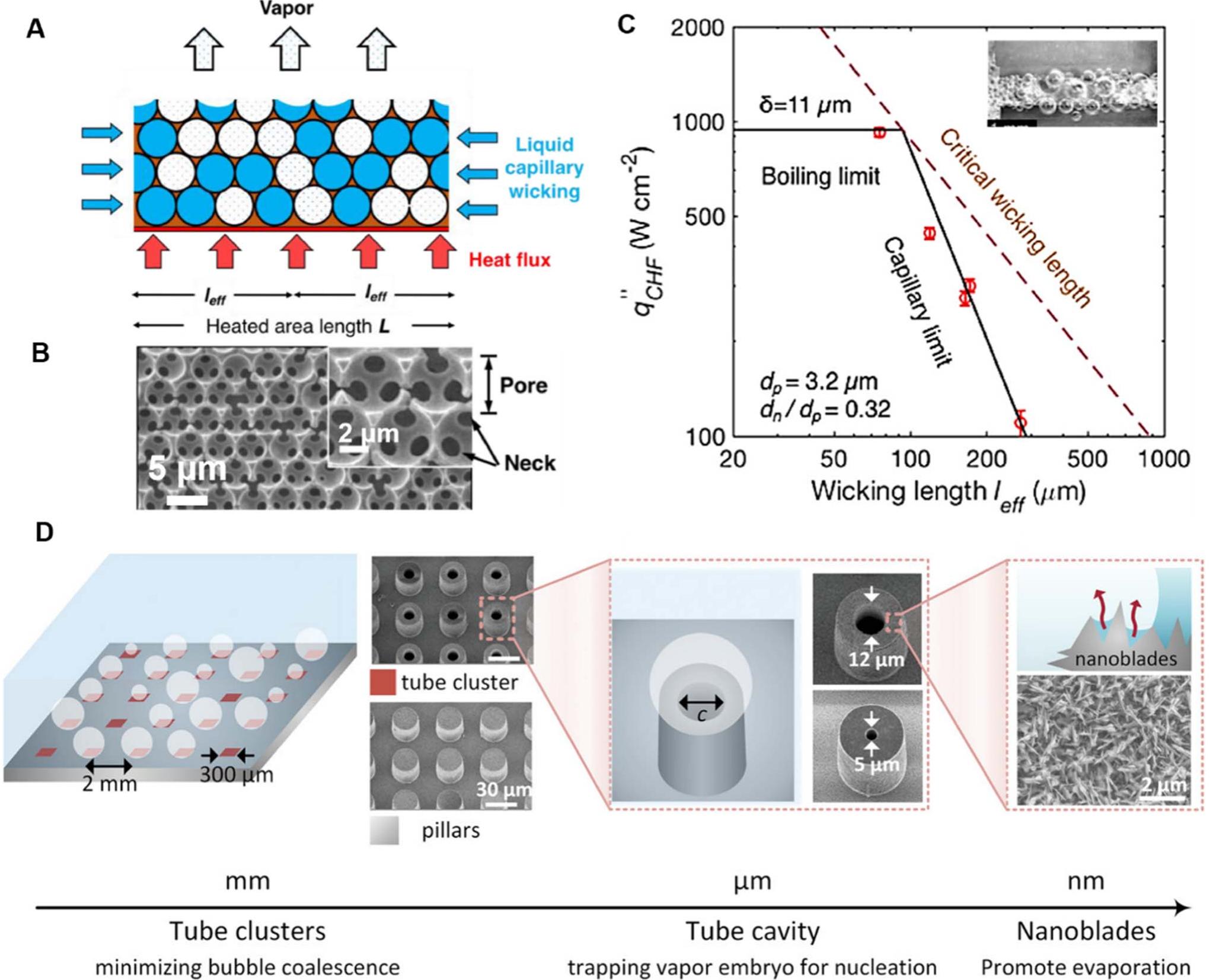 (PDF) Advances in micro and nanoengineered surfaces for enhancing ...
