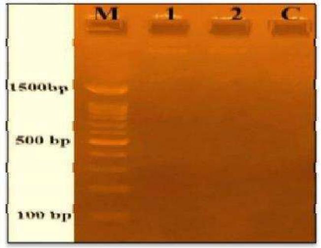 Figure 2 - from INDIAN JOURNAL OF AGRICULTURAL BIOCHEMISTRY