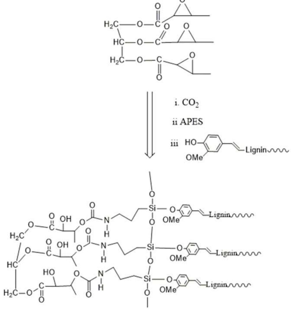 Pu Production Process (PDF) Development in Synthesis and Coating Applications of Polyurethane