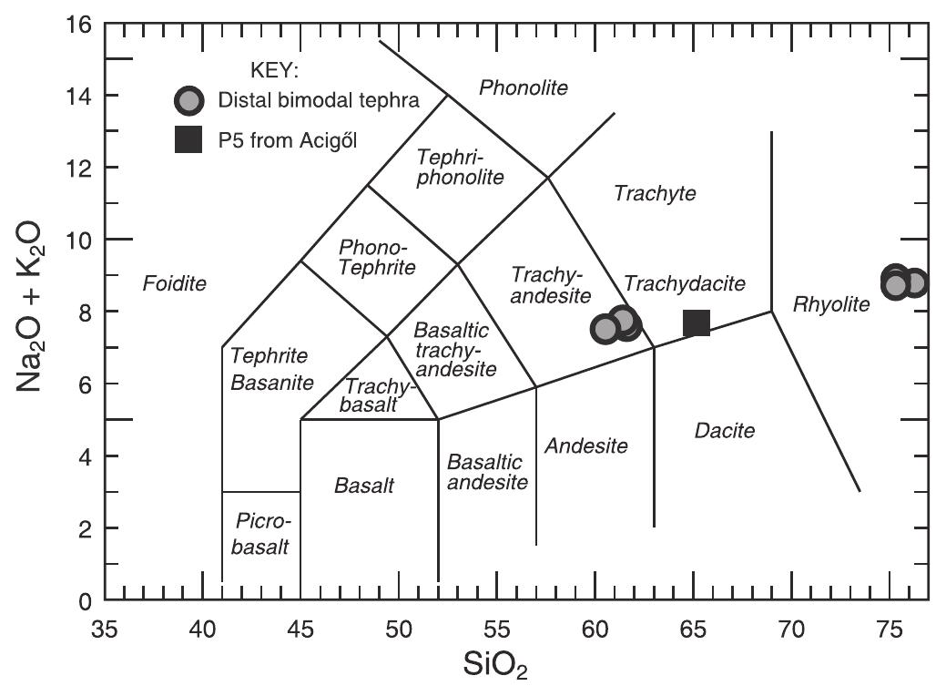 Figure 1 - from Scale in tephrostratigraphic correlation: An