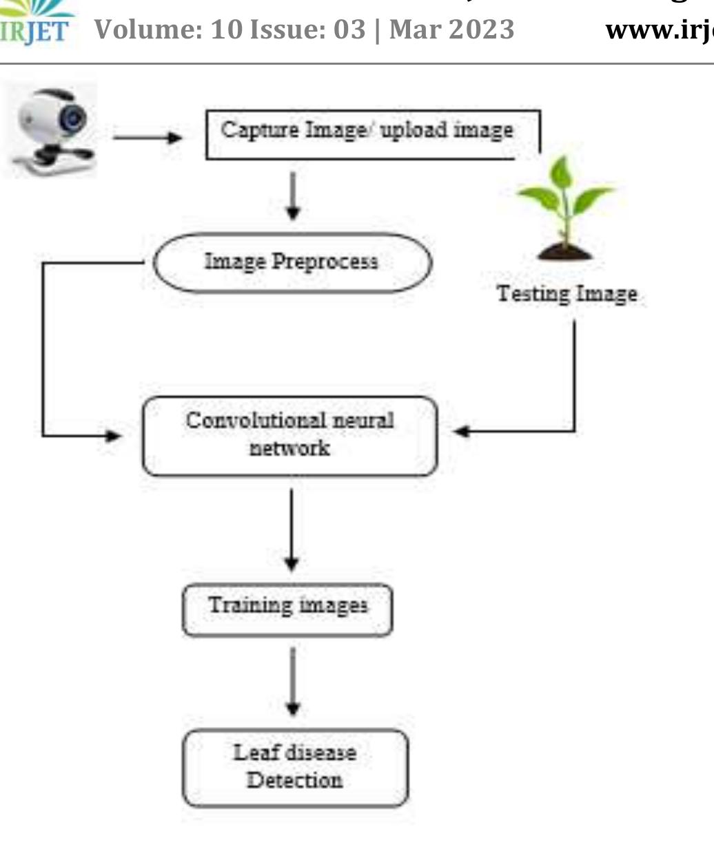 (PDF) A Review: Plant leaf Disease Detection Using Convolution Neural ...
