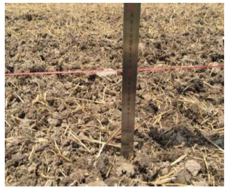 (PDF) Optimization and experiment of counter-rotating straw returning ...