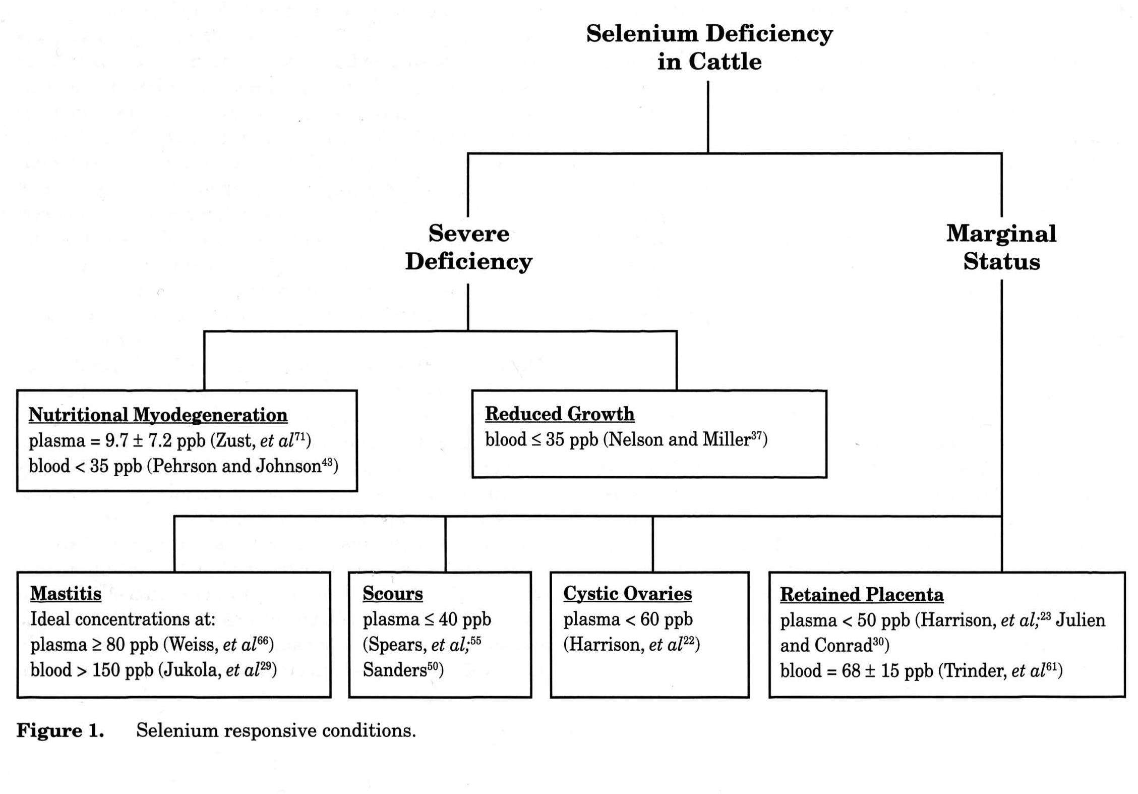 (PDF) Selenium status in cattle