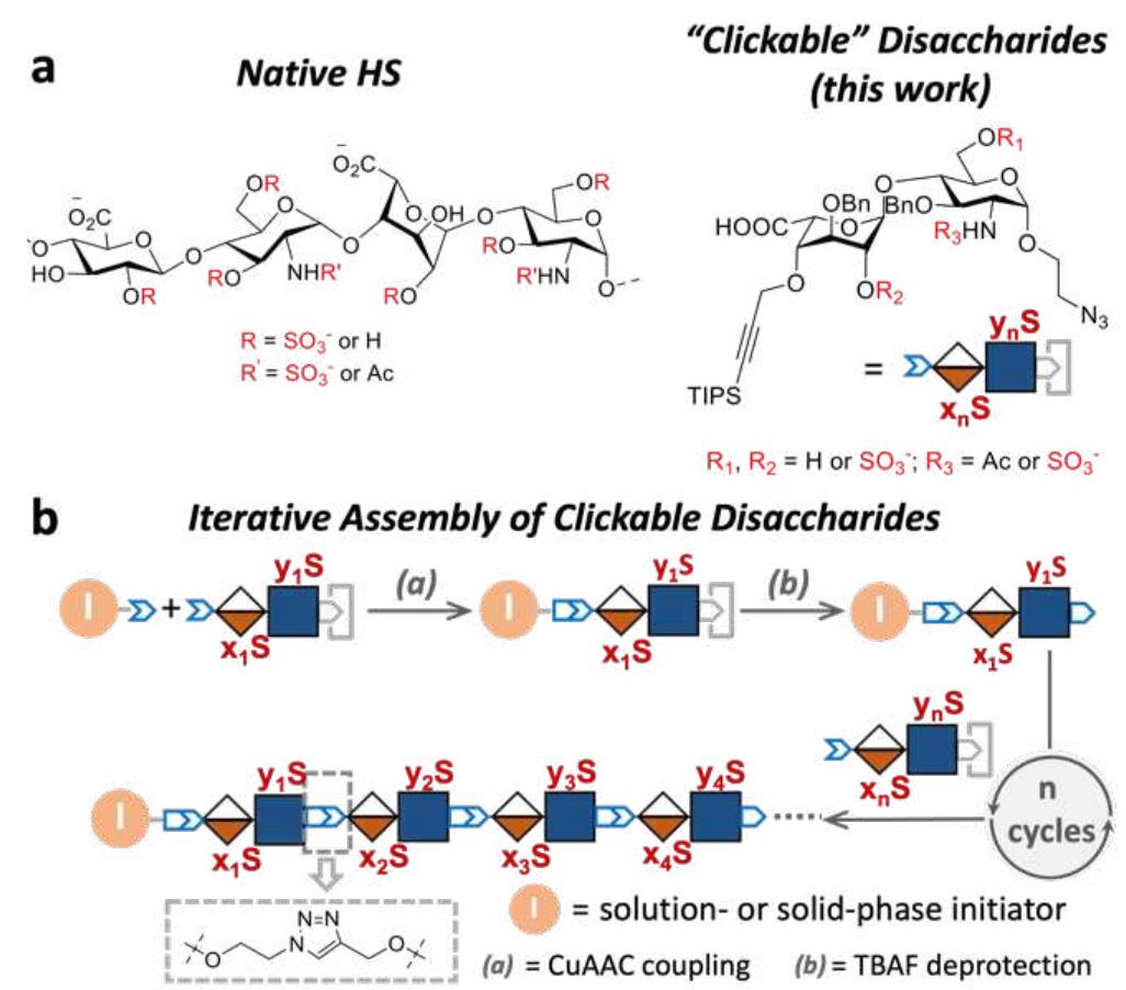 (PDF) Heparan Sulfate Glycomimetics via Iterative Assembly of ...