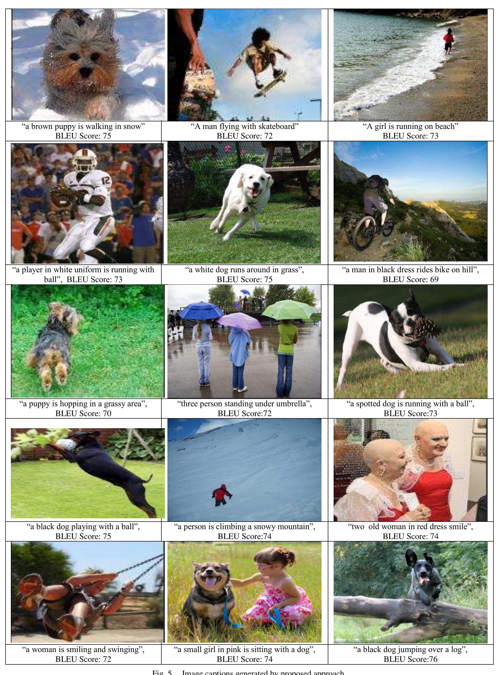 (PDF) An Efficient Deep Learning based Hybrid Model for Image Caption ...