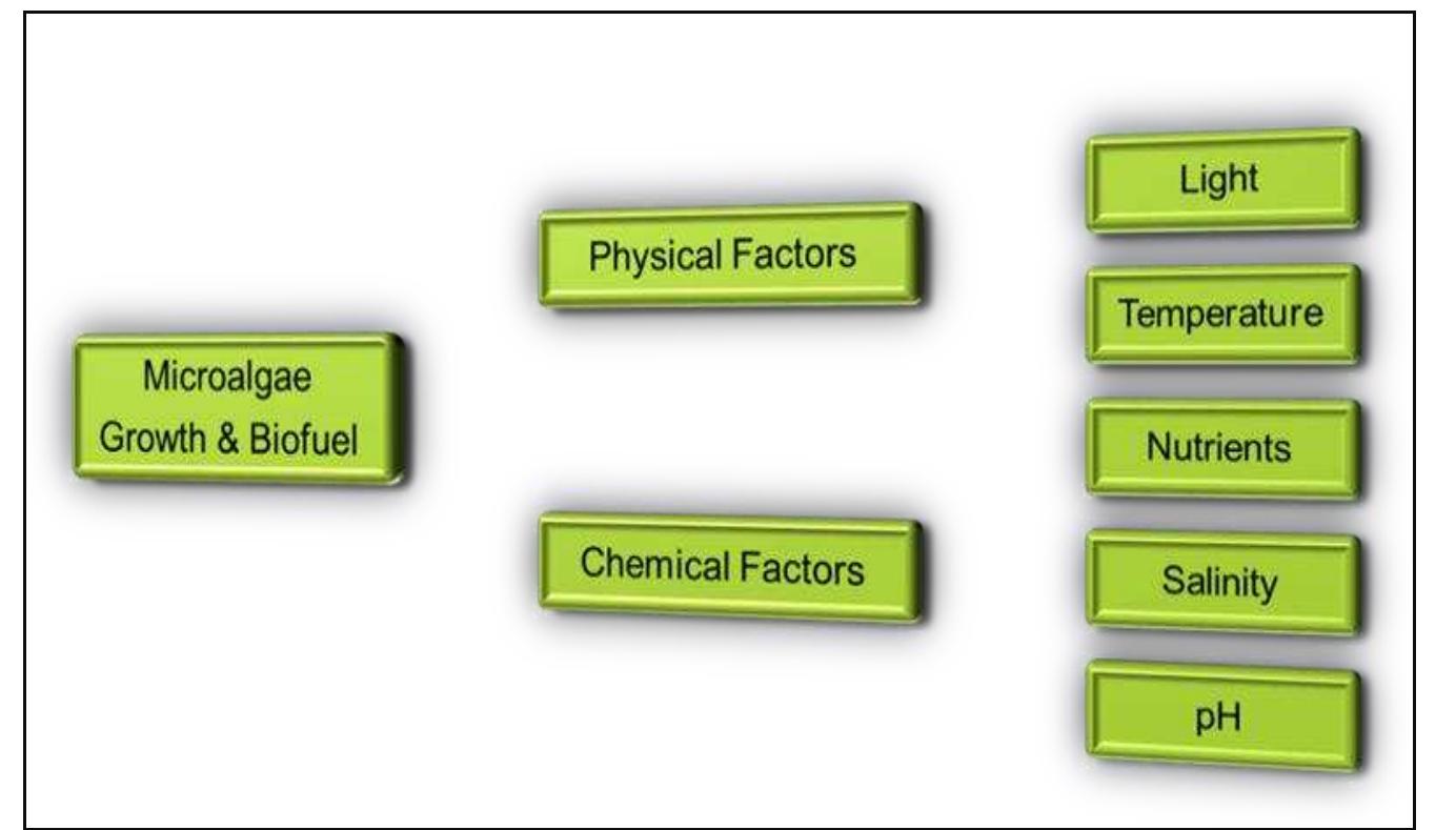Microalgae Figure 4: flow chart of various factors affecting microalgae