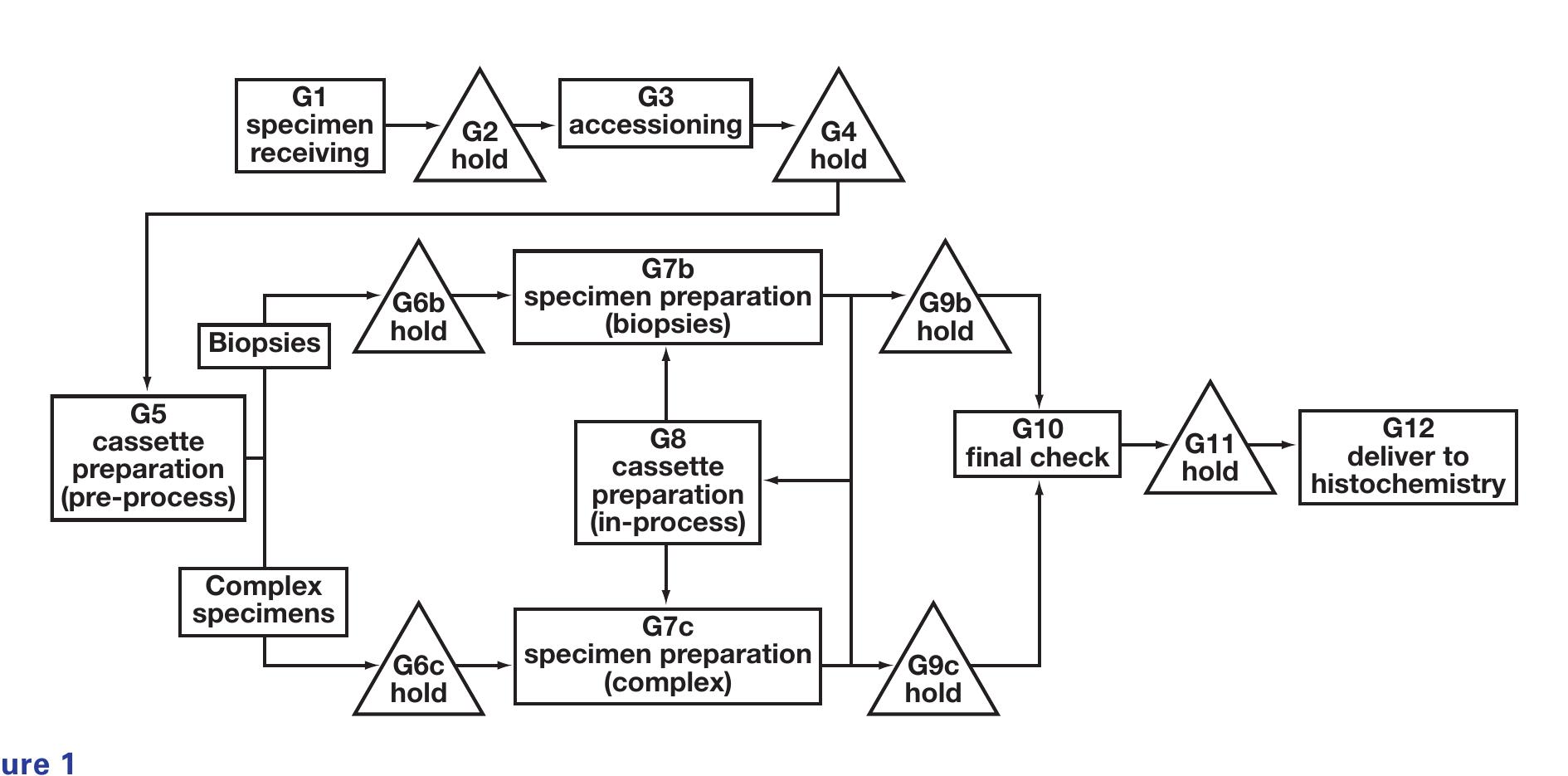 (PDF) Internal Labeling Errors in a Surgical Pathology Department: A ...