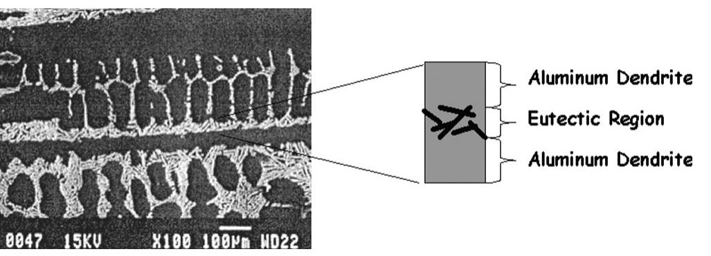 —microstructure of the al-7 pct si sample showing the