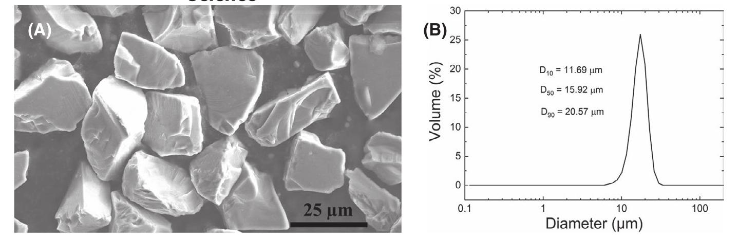 (PDF) Processing and properties of SiC composites made via binder jet ...