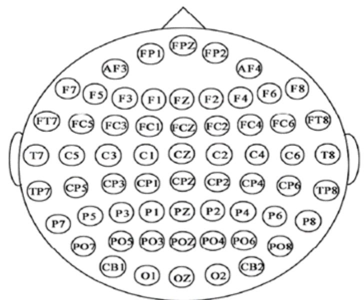 Eeg Cap Layout The eeg cap layout for 62 electrodes