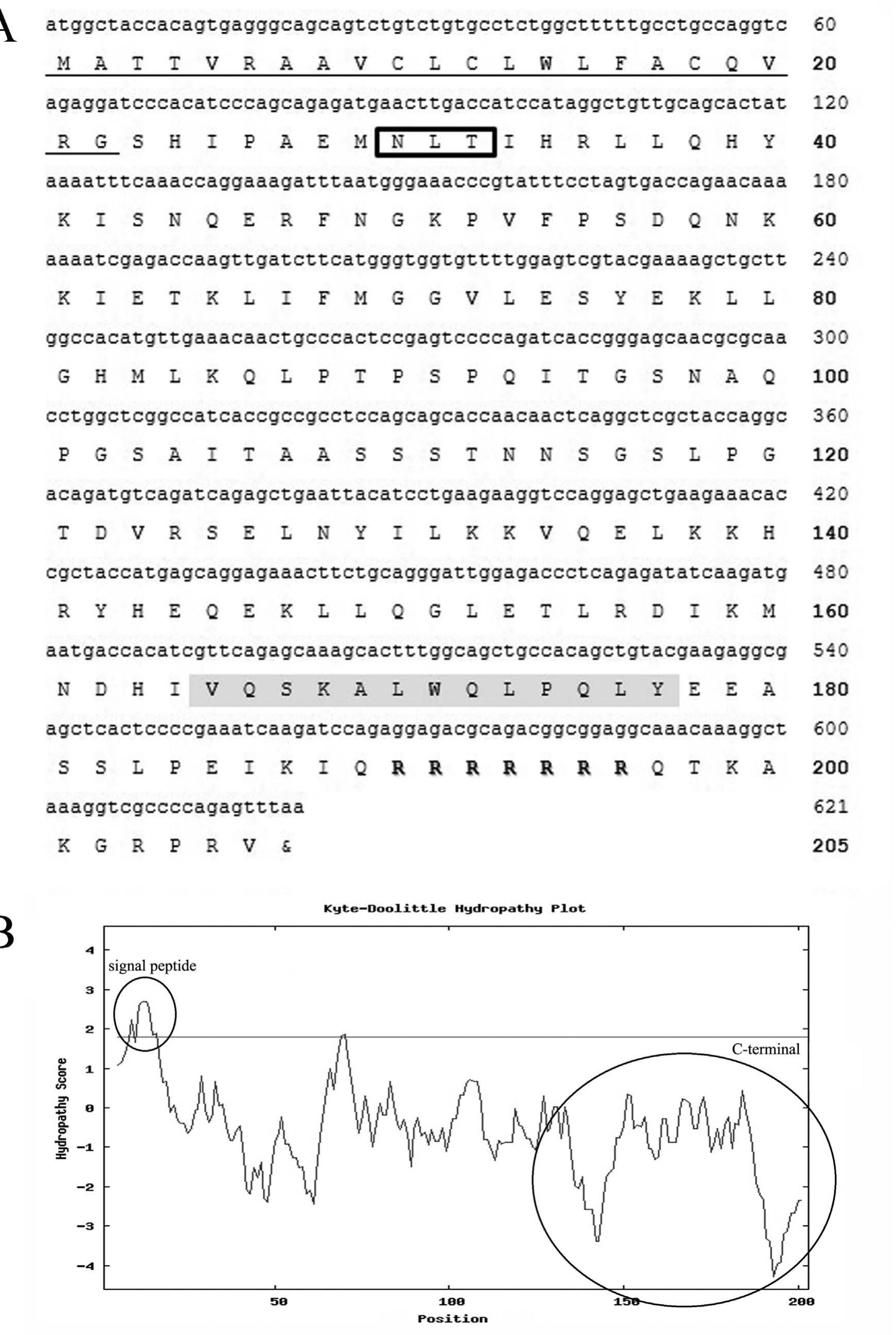 Nucleotide Sequence Code A) the nucleotide sequence and deduced amino acid sequence