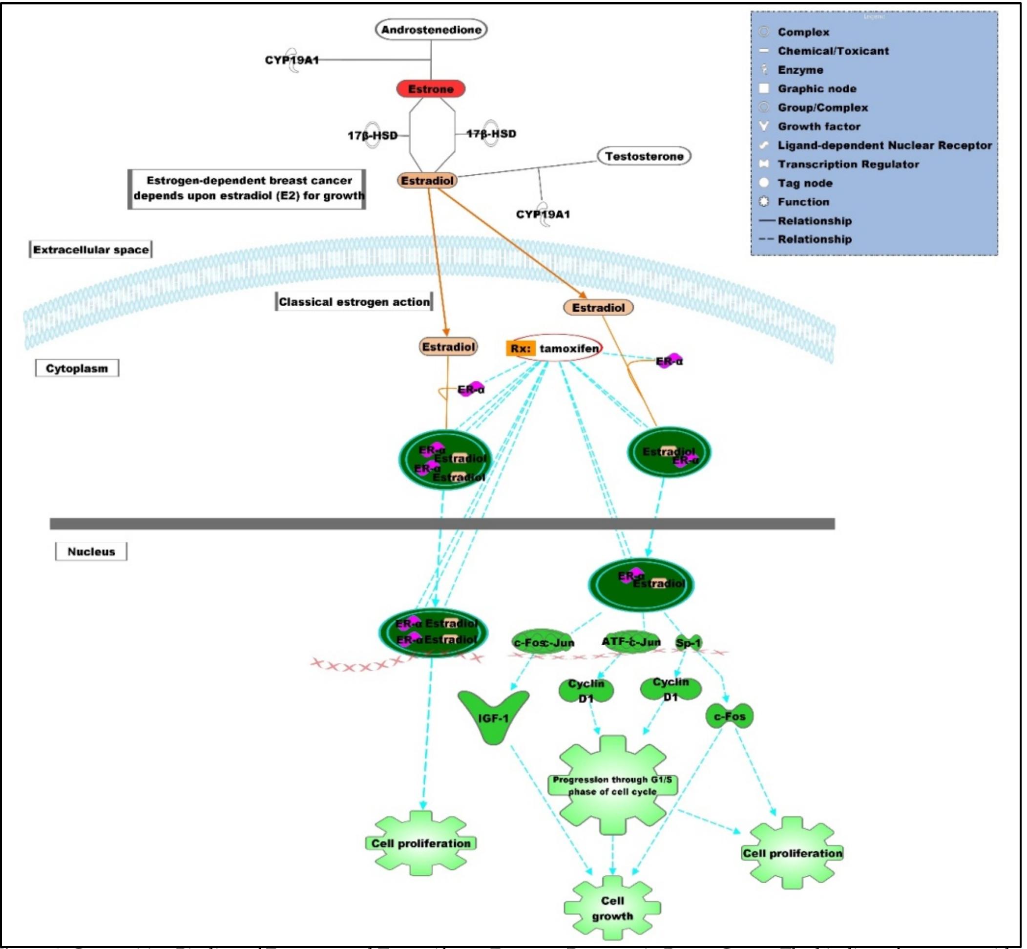(PDF) Molecular mechanisms and mode of tamoxifen resistance in breast ...