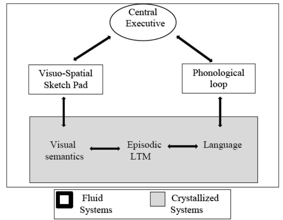 (PDF) Correlation between working memory , intelligence , and cognitive ...