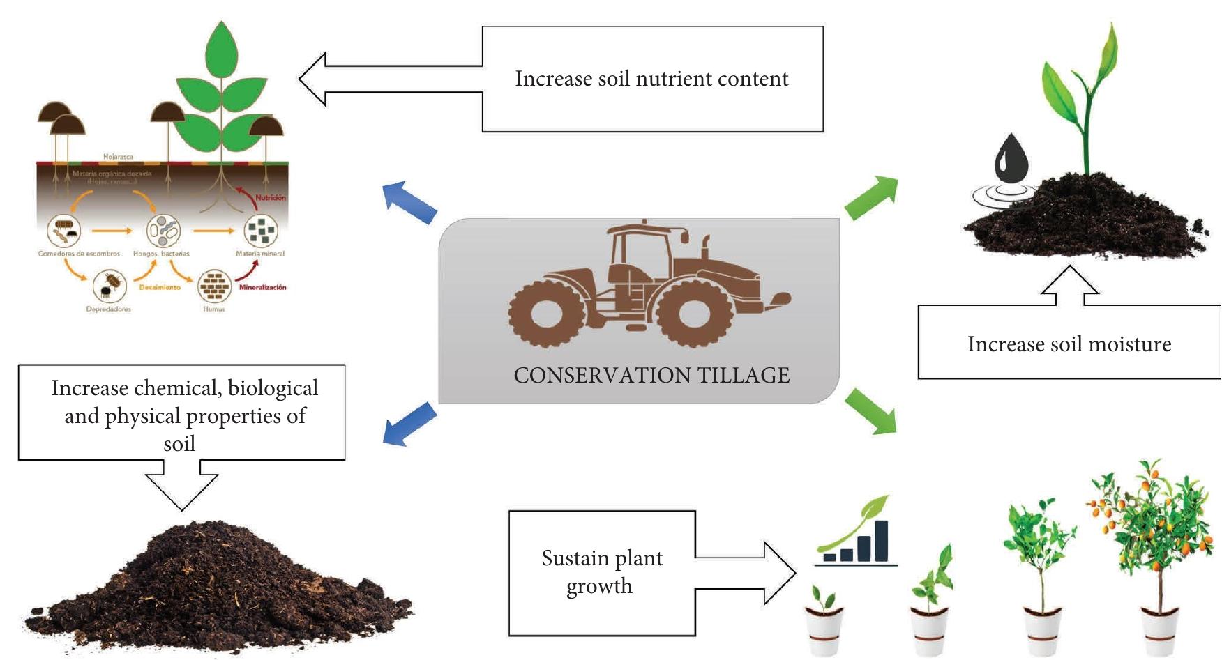 (PDF) An Overview of the Impact of Tillage and Cropping Systems on Soil ...