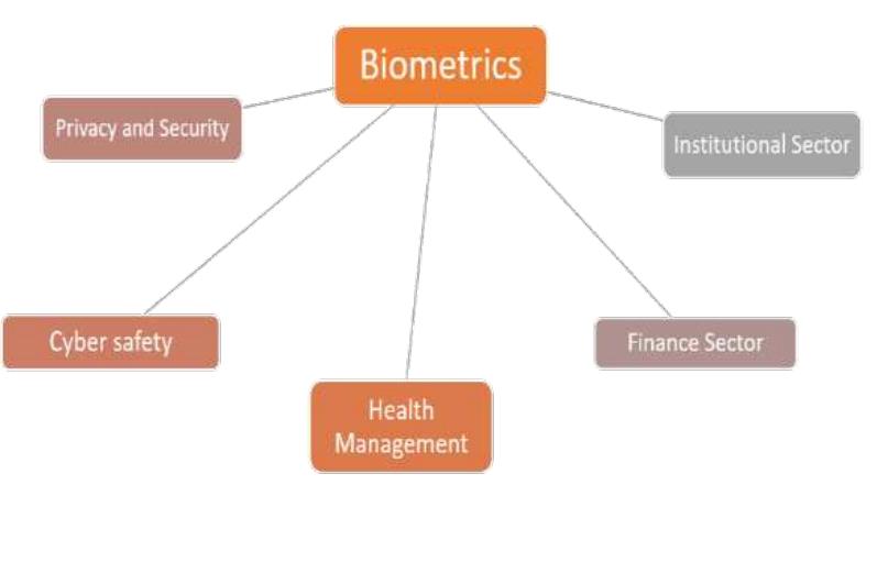 Figure 1 - from Biometrics in Healthcare