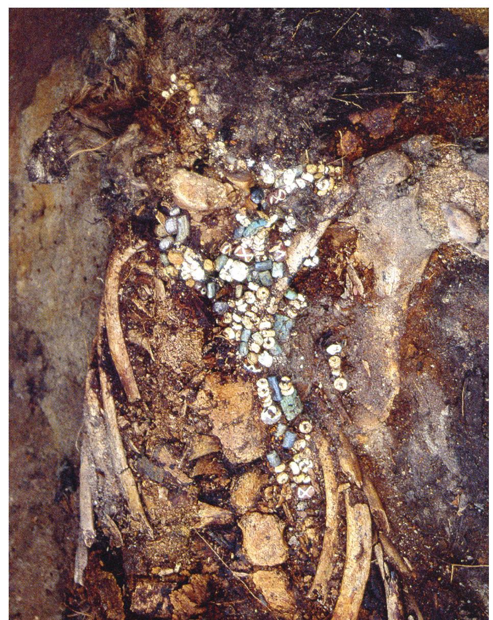 Qiz tepada va juda ehtirosli porno