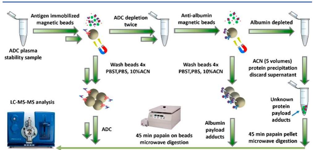(PDF) A Two-Step Immunocapture LC/MS/MS Assay for Plasma Stability and ...