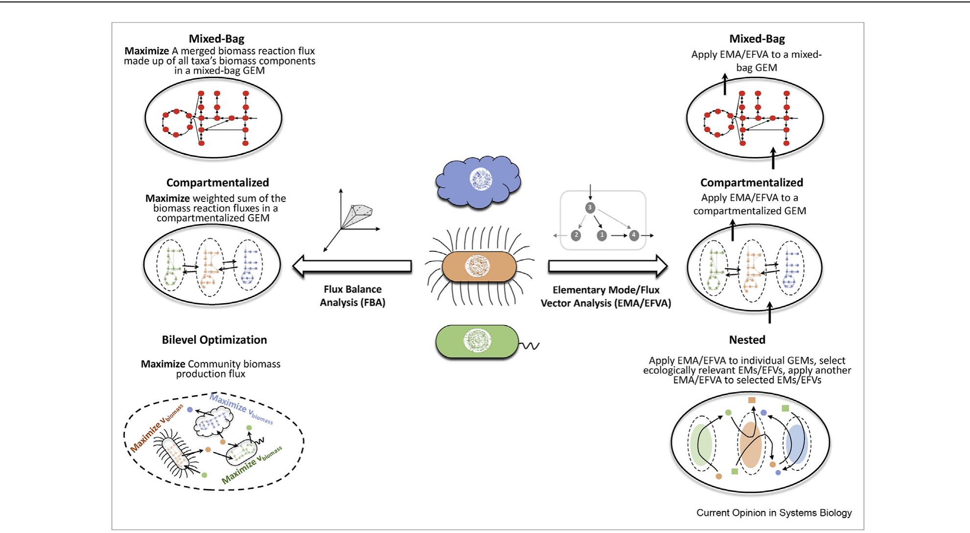 (PDF) Computational modeling of metabolism in microbial communities on ...
