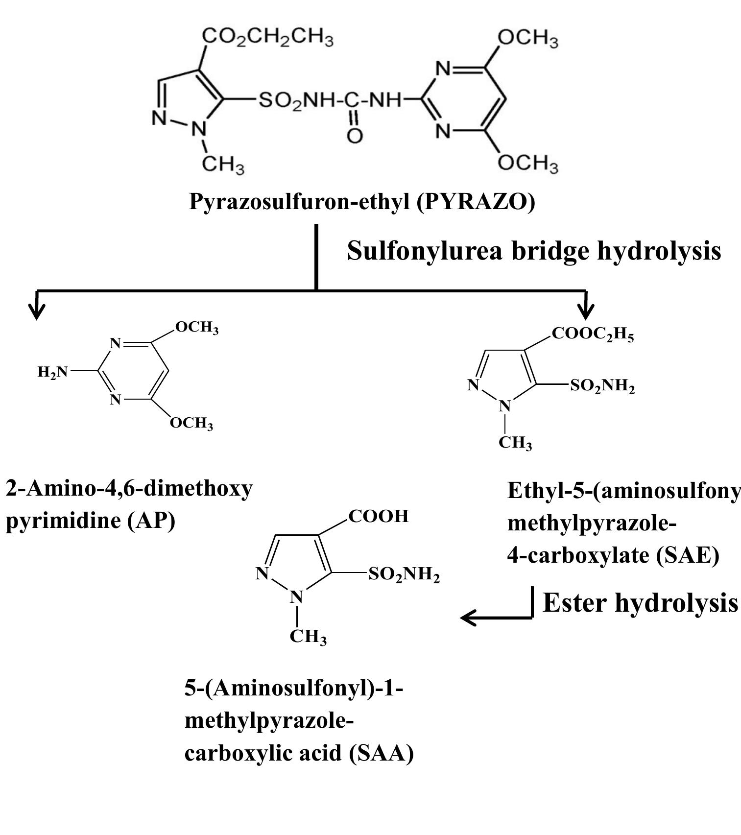 (PDF) In-vitro evaluation of rice and wheat straw biochars’ effect on ...
